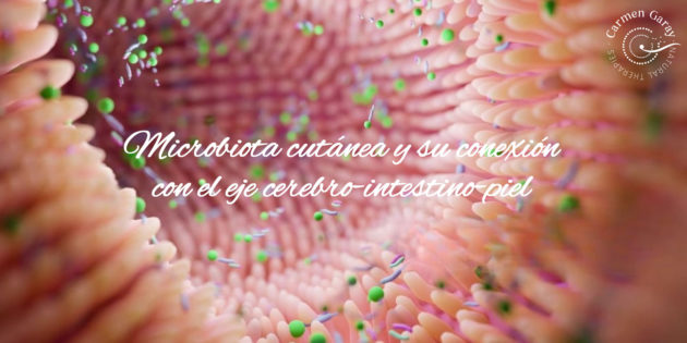 microbiota cutanea eje cerebro intestino piel