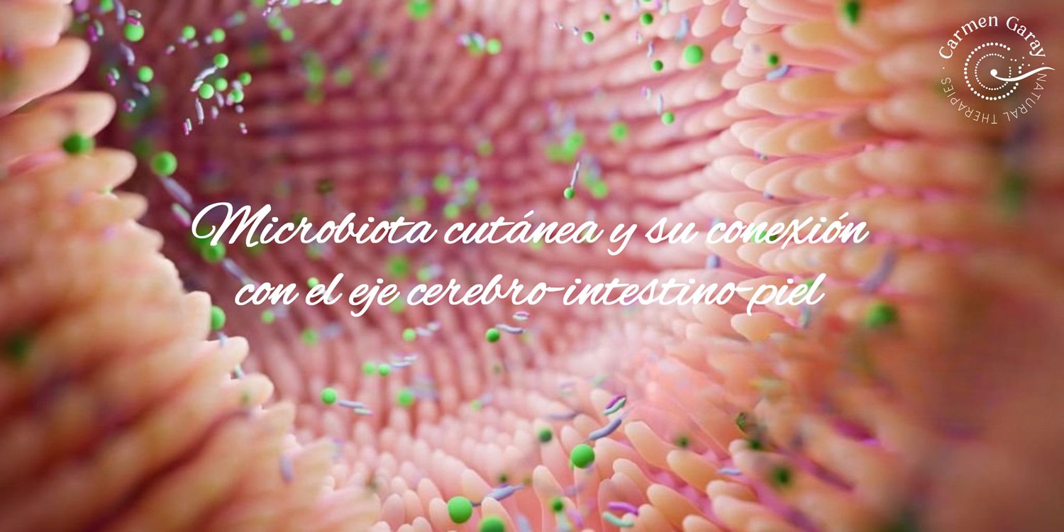 microbiota cutanea eje cerebro intestino piel