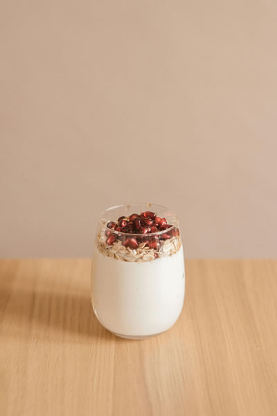 alimentos probioticos