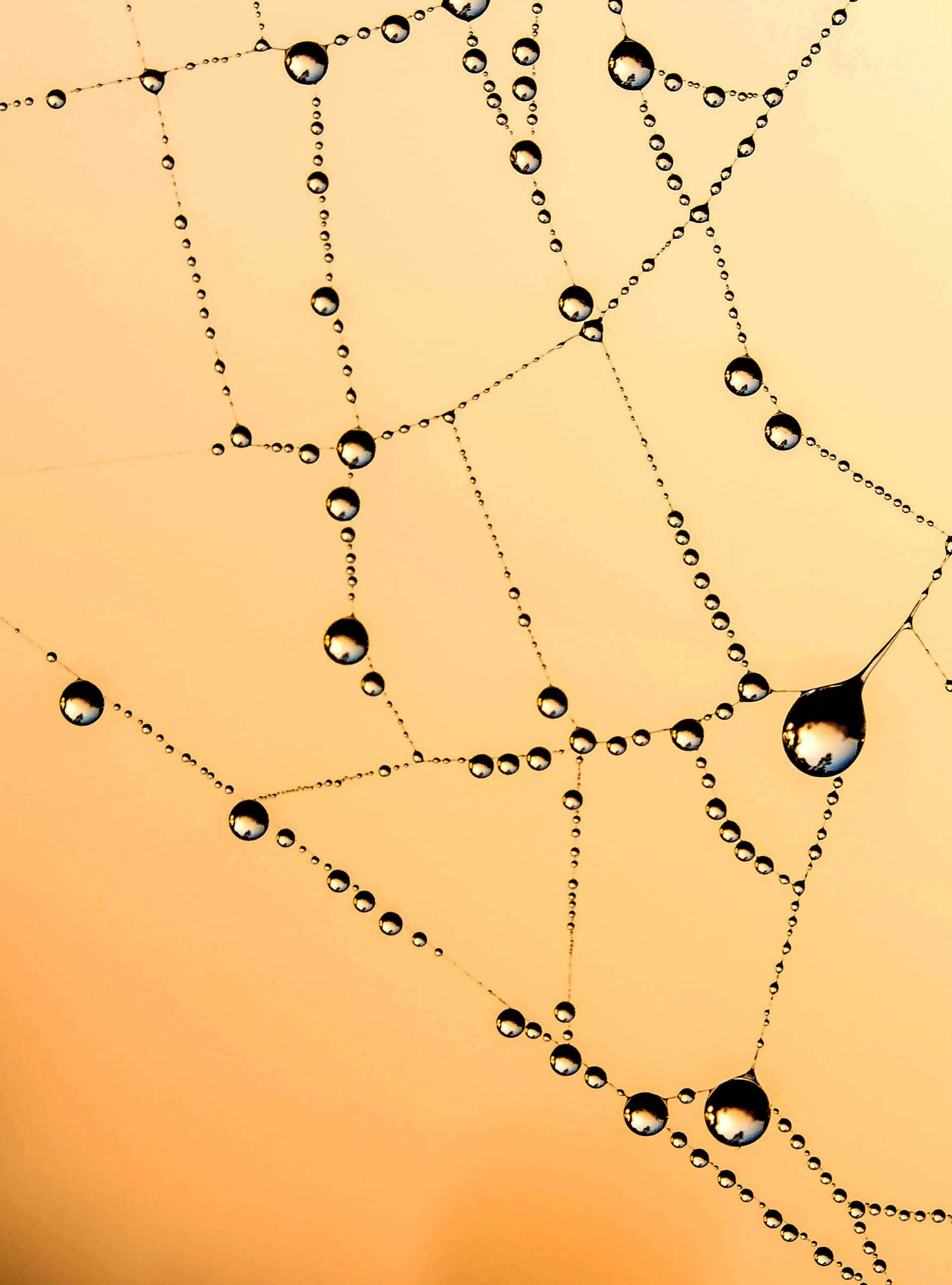 la fascia como mapa emocional