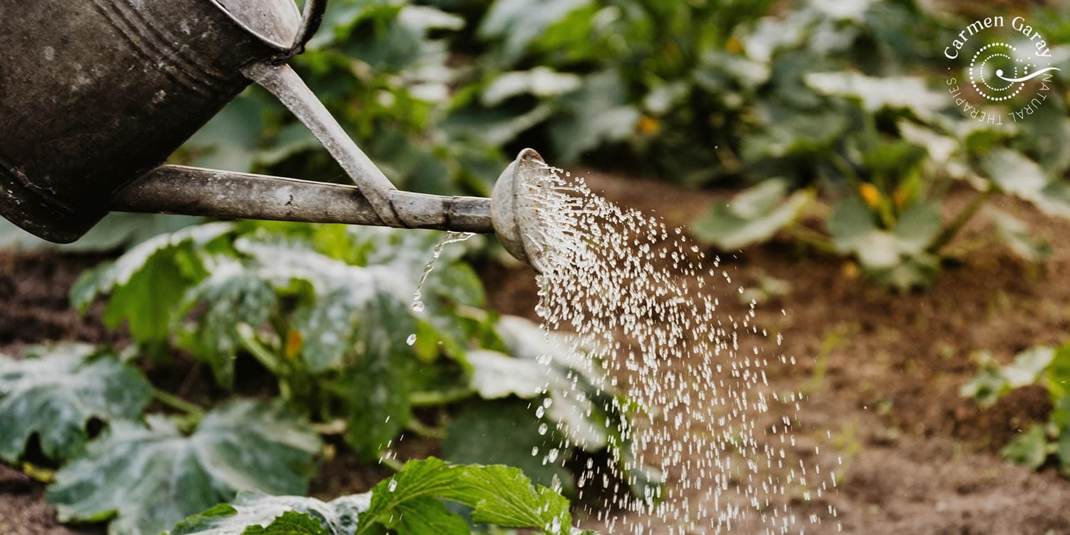 ikigai-proposito-vida-carmen-garay