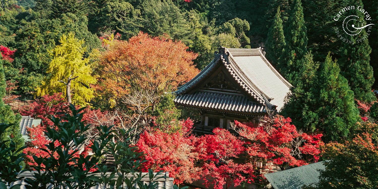 ikigai-proposito-vida-carmen